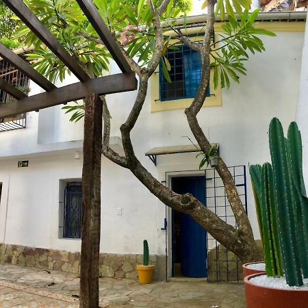 أوليندا Guest House & Art Gallery المظهر الخارجي الصورة